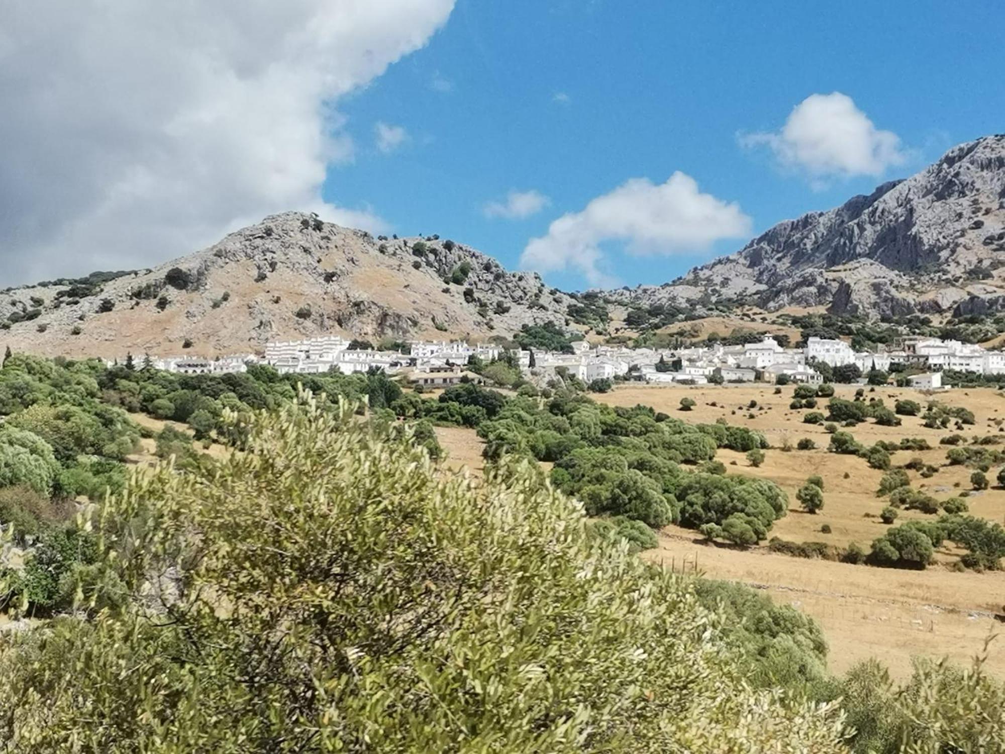 Casa Rural Isabel, En Sierra De Grazalema Бенаокас Екстер'єр фото